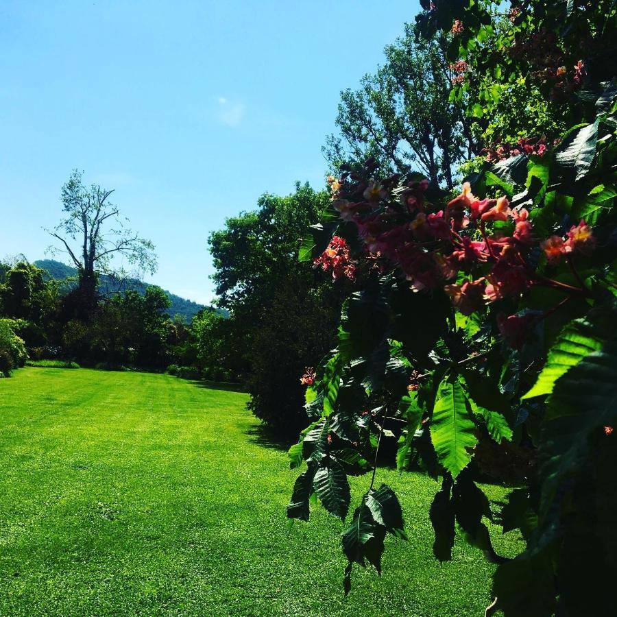 La Valle B&B 布雷西亚 外观 照片